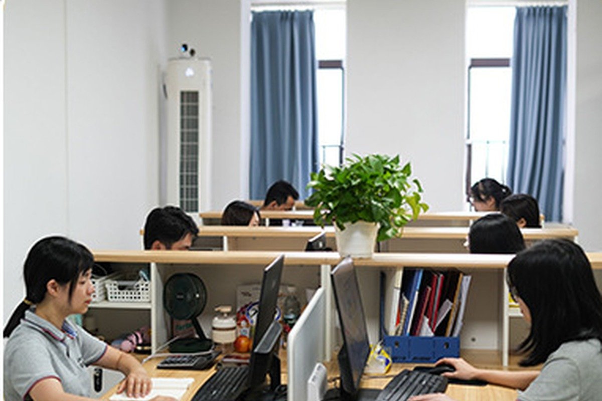 Project support and customer coordination team